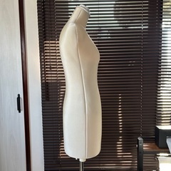 レディースボディトルソー（マネキン）の画像