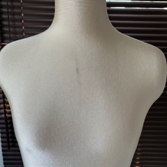 レディースボディトルソー（マネキン）の画像