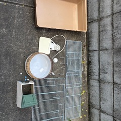ハリネズミ用品
　一式