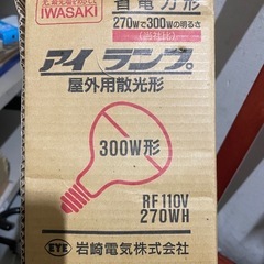 【省エネ屋外用ランプ 270W】