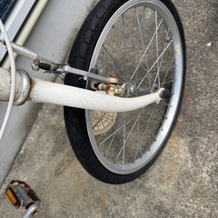 自転車　白　の画像