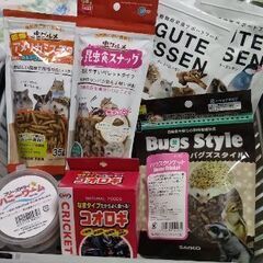 食虫小動物用餌