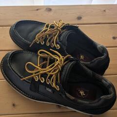 VANSの靴の画像