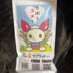 お米(300g)