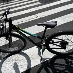 【正規品】TREK クロスバイクprecaliber 24  boy's  プレキャリバー の画像
