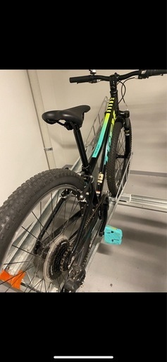 【正規品】TREK クロスバイクprecaliber 24  boy's  プレキャリバー 