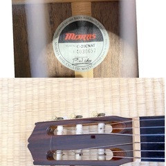 MORRIS モーリス C-21CNAT エレガット クラシックギター (AMI