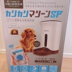 自動給餌機　犬猫向け　