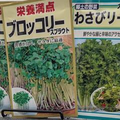 畑、プランター、植木鉢等で波動実験の仲間を募集します。 - 新潟市