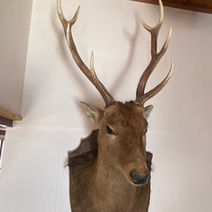 鹿の飾り