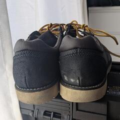 VANSの靴の画像