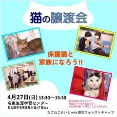4/27保護猫譲渡会　名古屋市