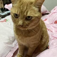 友達募集します😊