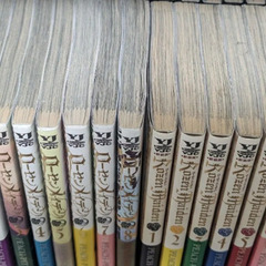 【5/30処分】ローゼンメイデン　コミック　漫画セットの画像