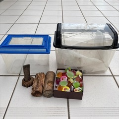 カブドムシ、クワガタ飼育セット