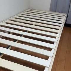 iris plazaの画像