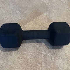 鉄アレイ　鉄アレー　5kg  1個の画像