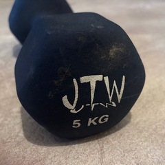 鉄アレイ　鉄アレー　5kg  1個の画像
