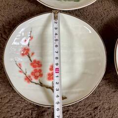 橘吉　たち吉　松竹梅　絵皿　皿　6枚セットの画像