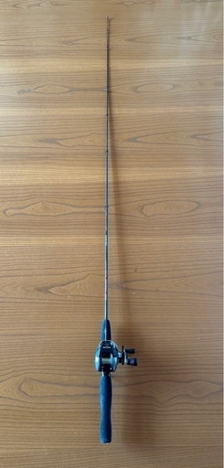 バスロッド　チームダイワ