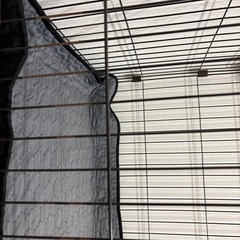 ペット用サークル・ケージの画像