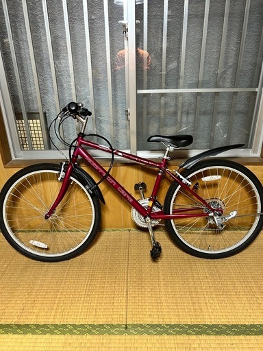 マウンテンバイク(6段ギア)
