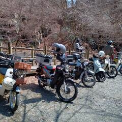 カブツーリング（小排気量125cc以下）
