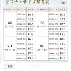 ブライダルインナーD75の画像