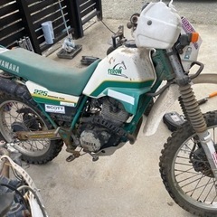 セロー225 不動