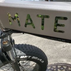 【廃盤カラー】MATE X 250 Sterling Mossの画像