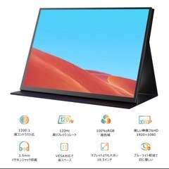 モバイルモニター 18.5インチ ほぼ未使用 サブモニター ディスプレイ