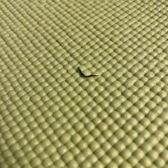 ⭐️無料⭐️エクササイズセット⭐️の画像