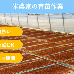 ＼日払い・1日OK！／お米農家さんの育苗作業 ♪