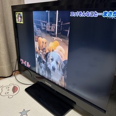 【決まりました】REGZA テレビ　32A1