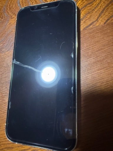 iPhone 12pro