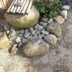 庭石
