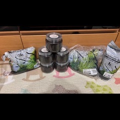 ソイル全て6.5L