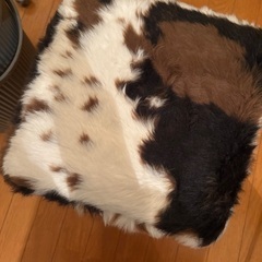 ファースツールの画像