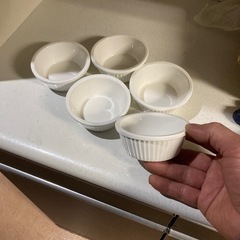 完了御礼。ミニグラタン皿？プリン皿？