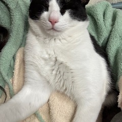 一歳男の子