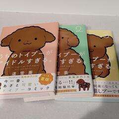 うちのトイプーがアイドルすぎるの画像