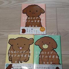 うちのトイプーがアイドルすぎる