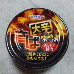 極洋 さば味噌煮 大辛 缶 145g