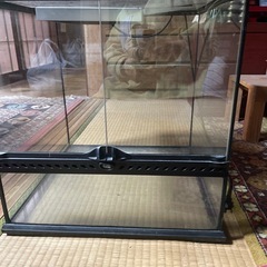 爬虫類ケージ、カミハタ、サーモスタット付き！45x45の保温器具付き、GEXエキゾテラ取引中です！の画像