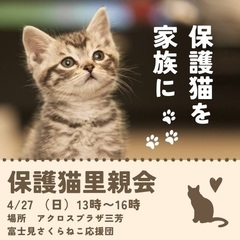 譲渡会に参加します！