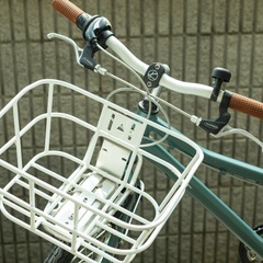 子供用22インチ　コーダブルーム アッソン J22（Khodaa Bloom Asson J22）ダークグリーンの画像