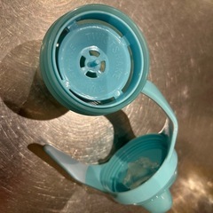 （2022年購入｜新品未使用）フルーツ水が作れるマグ
の画像