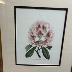 ホテル絵画４枚セット（額だけでもお値打ち）の画像