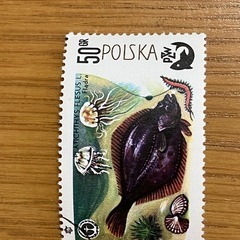 ポーランド 使用済み切手 魚の画像