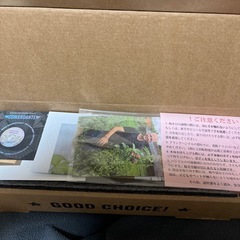 ※箱のみ　コマンダンテ　の画像